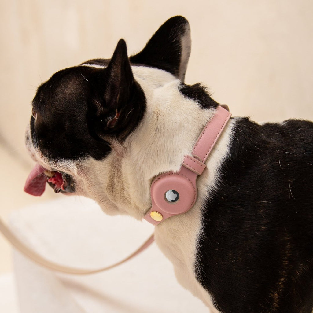 Air Tag Enabled - Leather Dog Collar